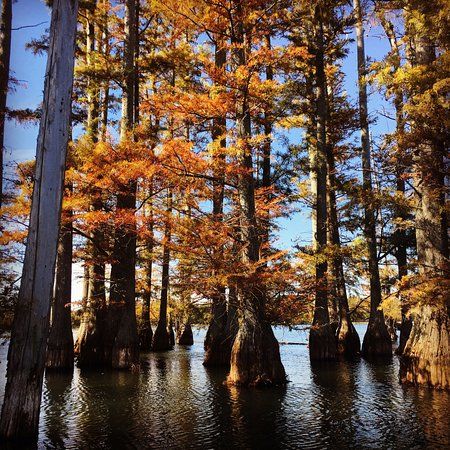 Hatchie National Wildlife Refuge